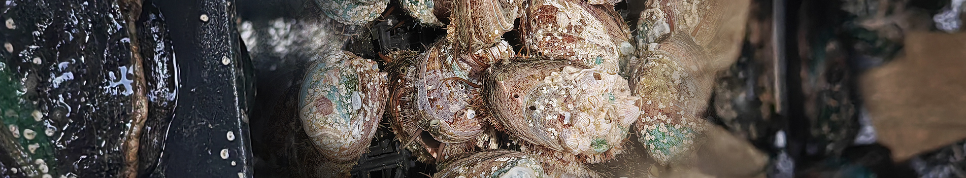 frozen prepared food supplier